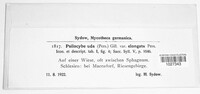 Psilocybe uda image